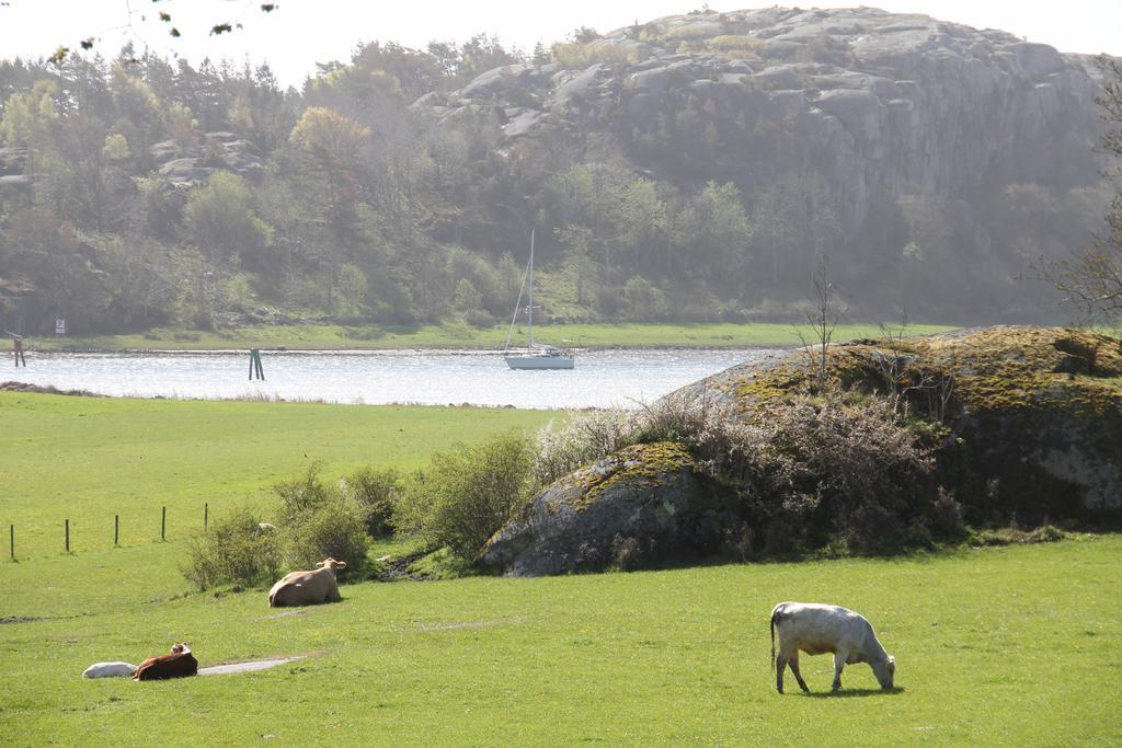 Ramsviks Overgard Vandrerhjem Hunnebostrand Eksteriør bilde