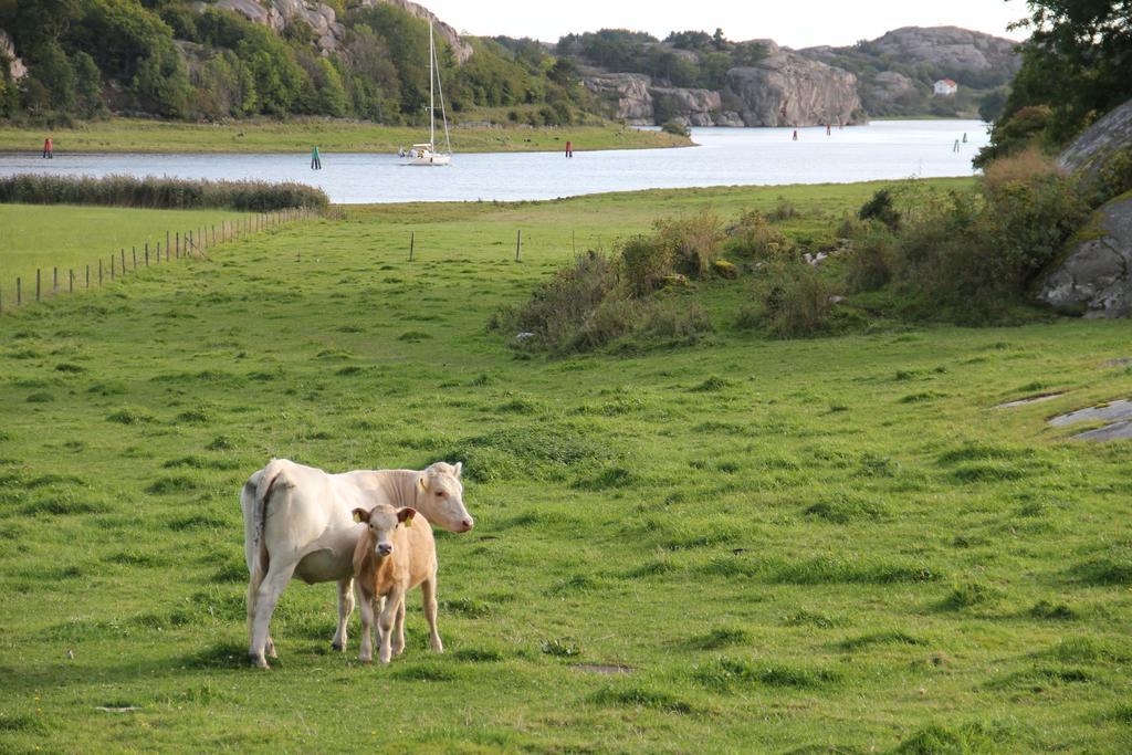 Ramsviks Overgard Vandrerhjem Hunnebostrand Eksteriør bilde