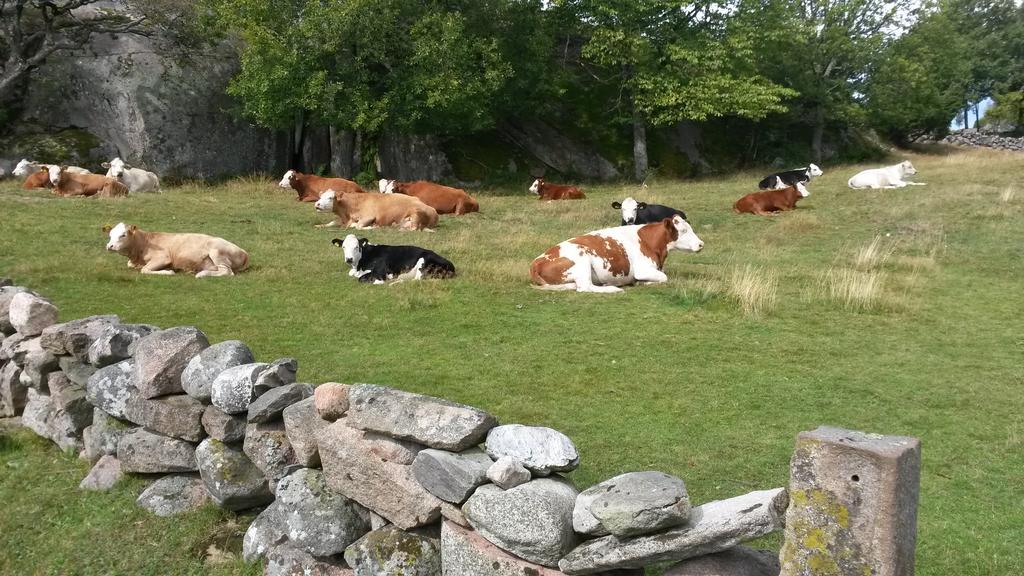 Ramsviks Overgard Vandrerhjem Hunnebostrand Eksteriør bilde